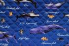 キルティング　海の生き物　イルカ、クジラ、カメ　青色　Q-145　