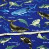 キルティング生地　海の生き物 魚 海 サメ クジラ 濃い青色 Q-352