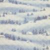 キルティング　 雪景色 冬景色 グレーかかった薄い青色 Q-325