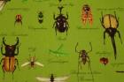 昆虫柄　緑色　 カブトムシ　 トンボ てんとう虫　蜂　バッタ　 オックス生地　c21-07