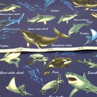 ラミネート生地　海の生き物 魚 海 サメ クジラ 濃い青色 R-341  　つやなし