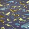 ラミネート生地　海の生き物 魚 海 サメ クジラ 濃い青色 R-341  　つやなし