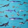 ラミネート布　海の生き物柄　 イルカ、エイ、 ジンベイザメ、 クジラ、マリンブルー色　R-195