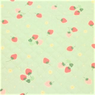 キルティング イチゴ いちご 花柄 花 小花 薄い水色 Q-222